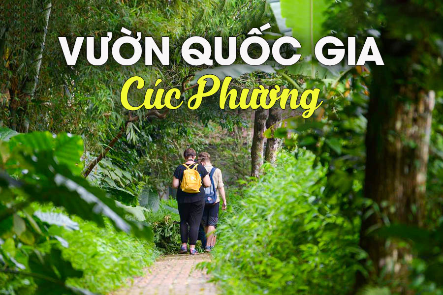 Thuê Xe Nội Bài đi Vườn Quốc Gia Cúc Phương