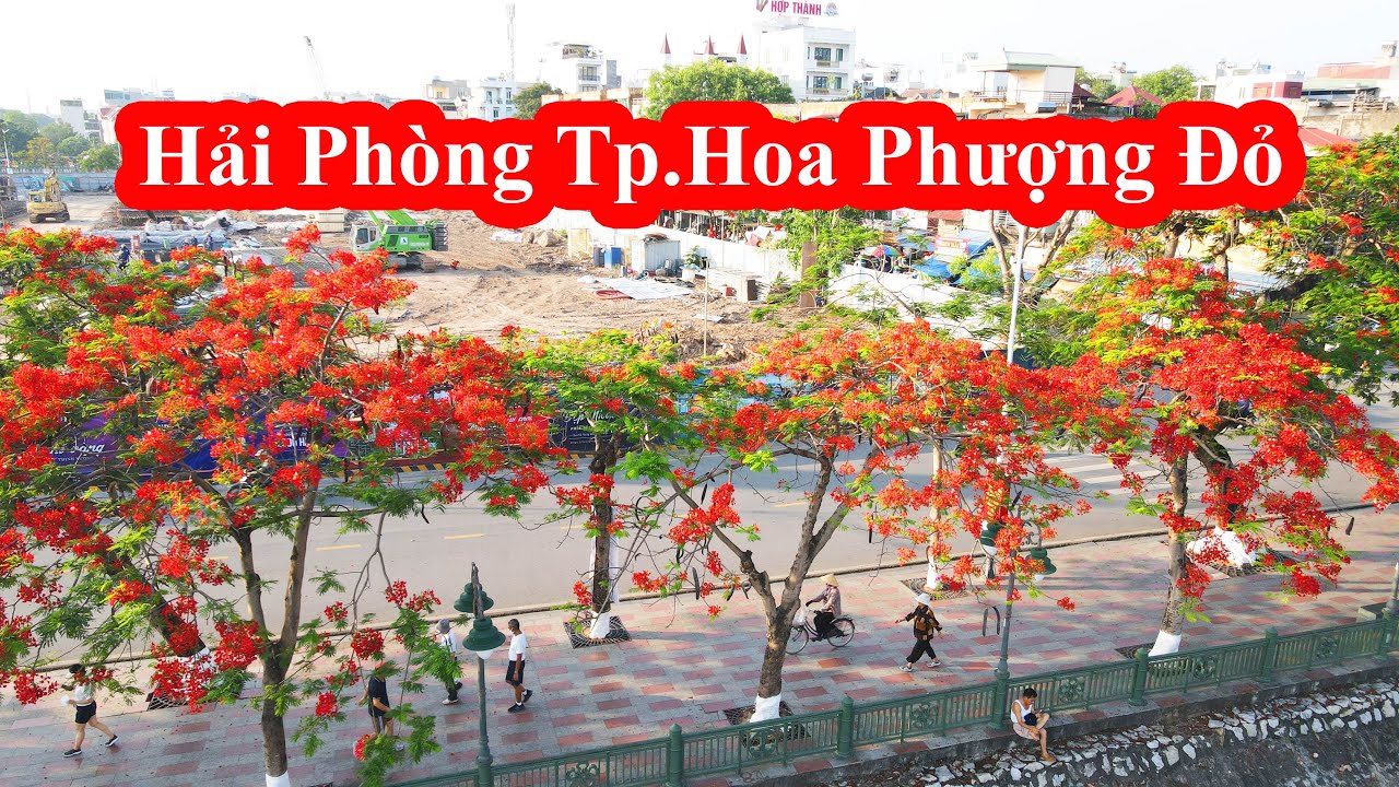 Từ Sân Bay Nội Bài đi hải Phòng Giá Rẻ